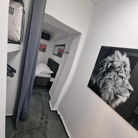 Apartment Teo Zadar